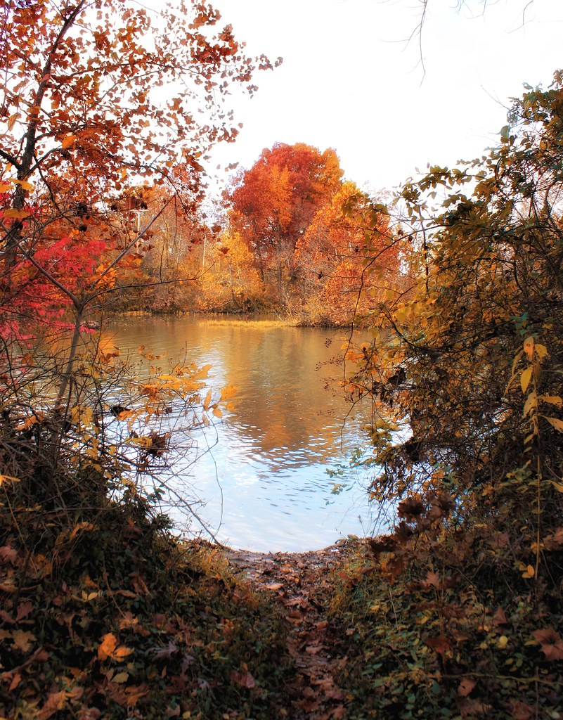 Trail's end outside Springfield, MO Missy Flickr