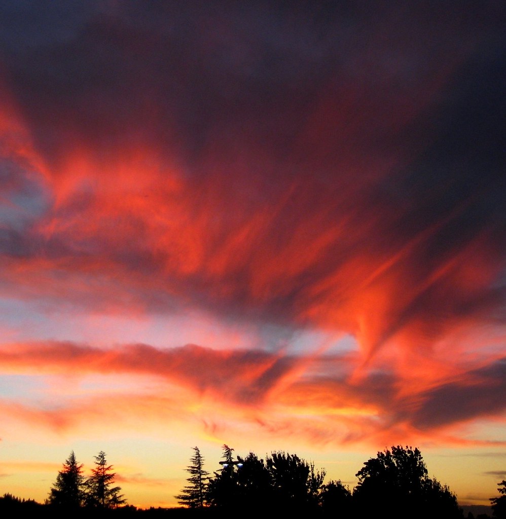A Fiery Sunset Sky Above San Jose, CA (111313) Photo 3 Flickr