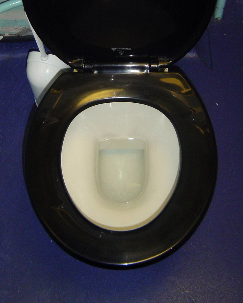 A very clean toilet seat I was most impressed. It shined. Flickr