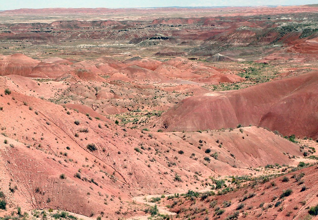 Painted Desert In New Mexico, USA Dave Flickr
