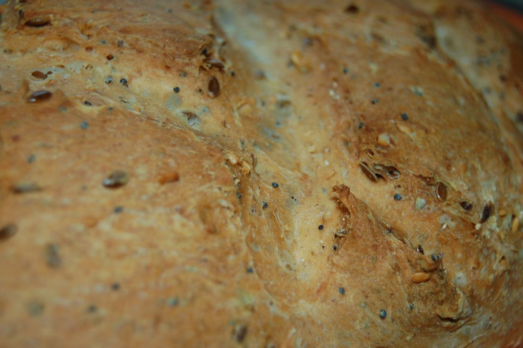 Rye bread closeup with fennel seeds, sesame seeds, pumpki… Flickr