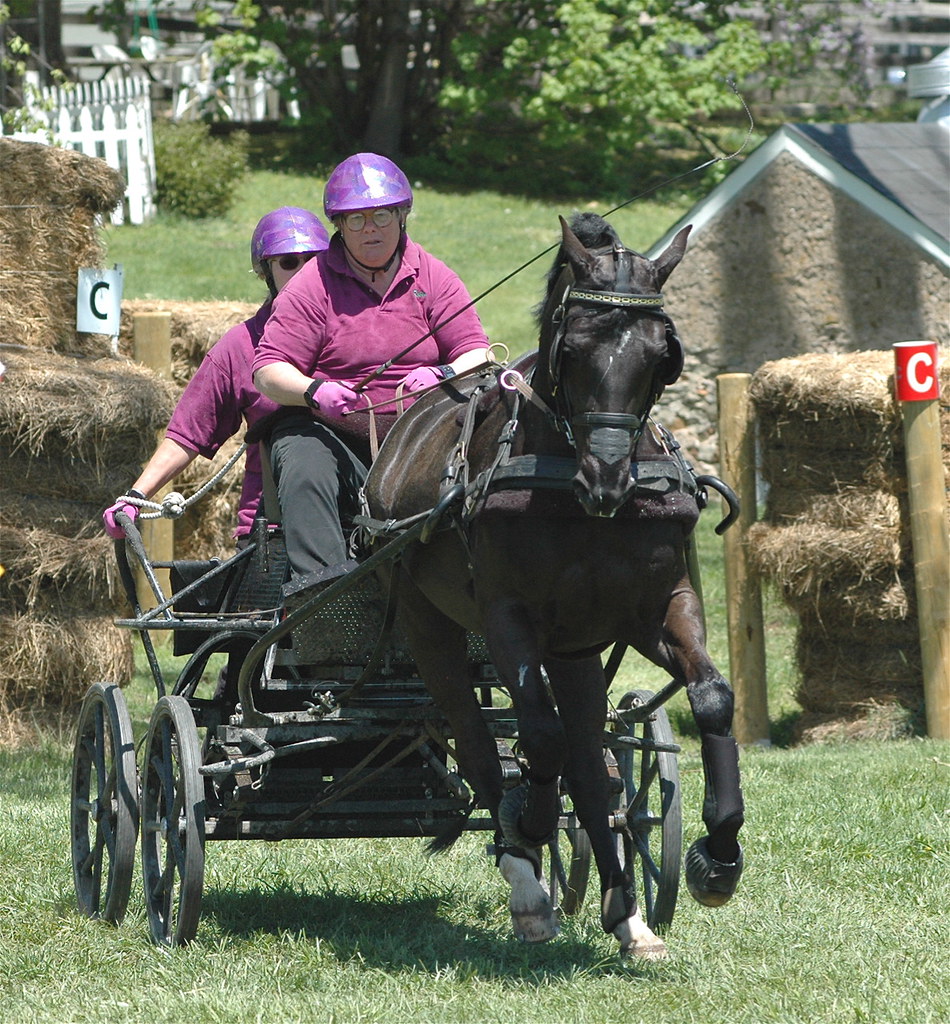 Cedar Lane Farm Combined Driving Event Oldwick, NJ Robin G… Flickr