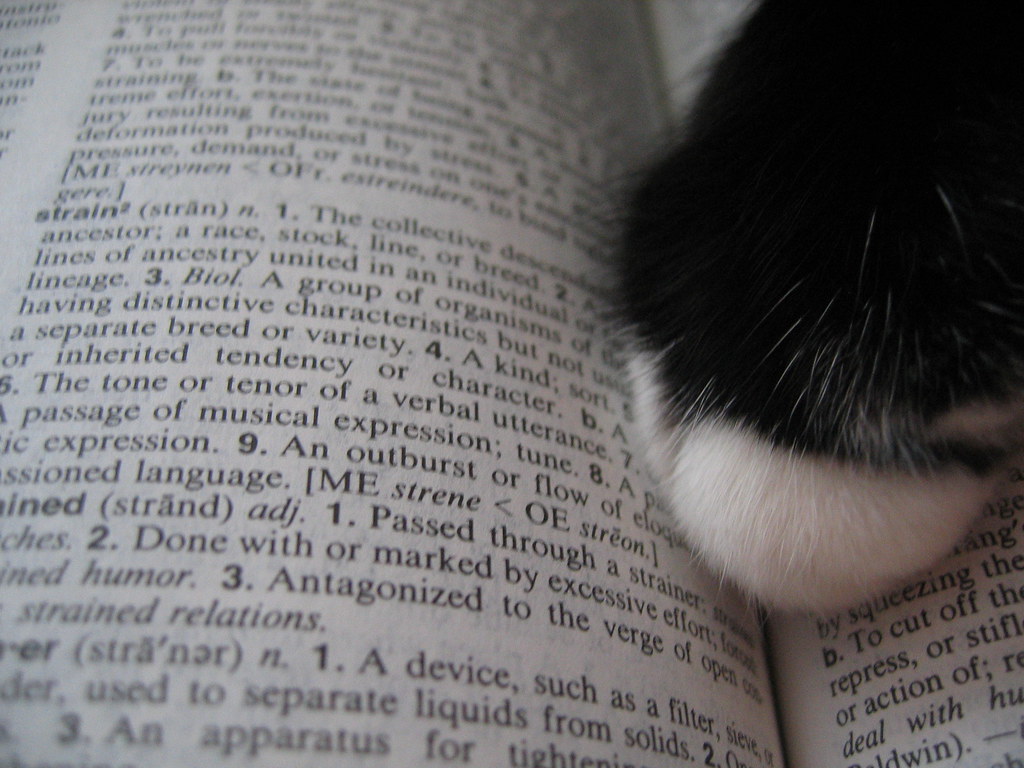 Kitty learns some new words The dictionary is Kitty's favo… Flickr