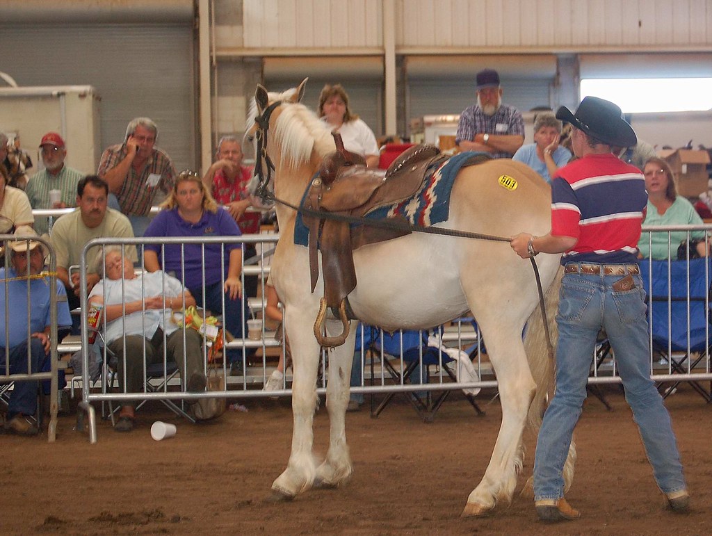 Pony for Sale An auction in Perry, Charlotte Perkins Flickr