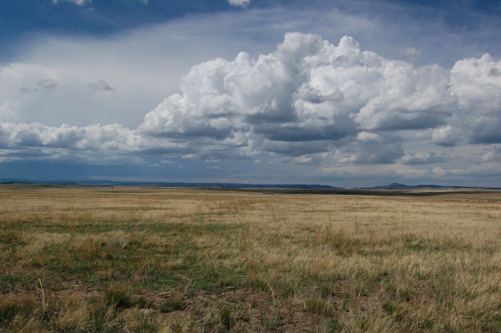New Mexico Plains New Mexico Plains Glenn Harper Flickr