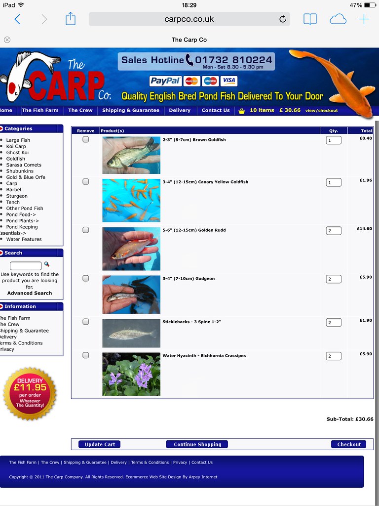 First online fish order mothballjim Flickr