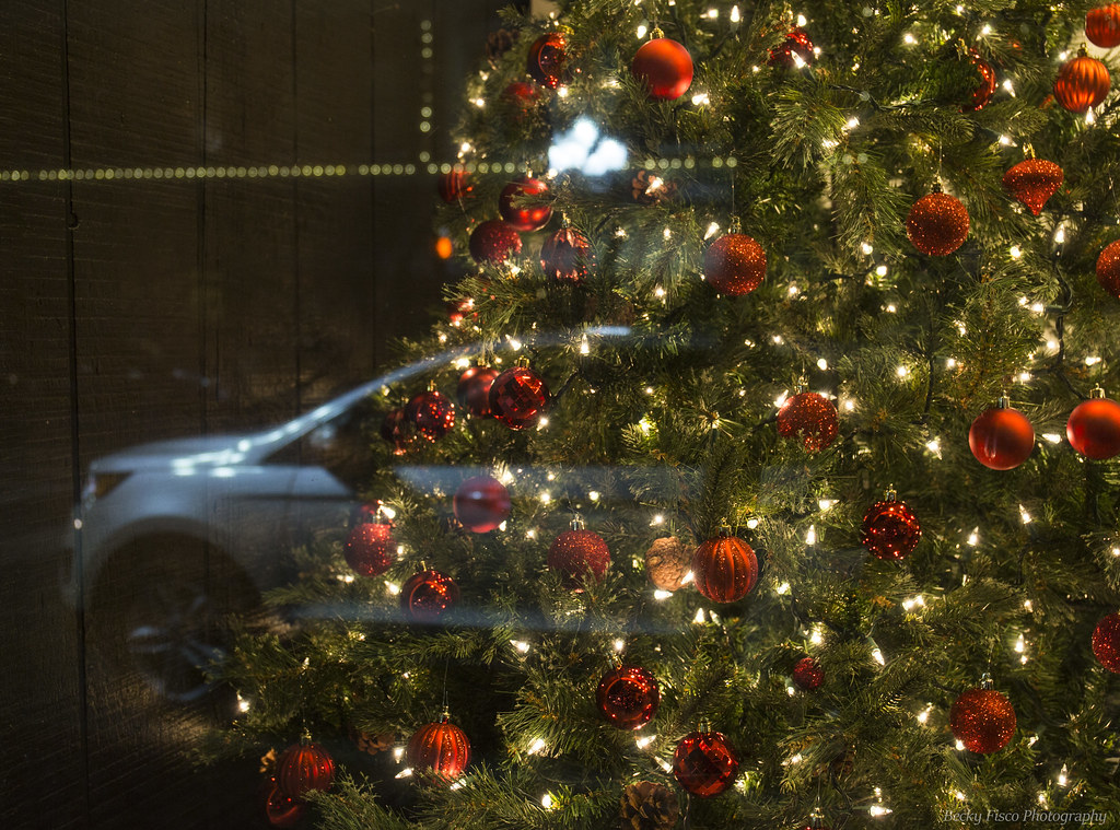 Christmas in Seneca Falls Flickr