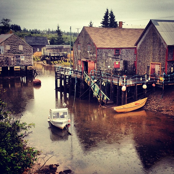 Visiting Seal Cove on Grand Manan, New Brunswick in the ra… Flickr