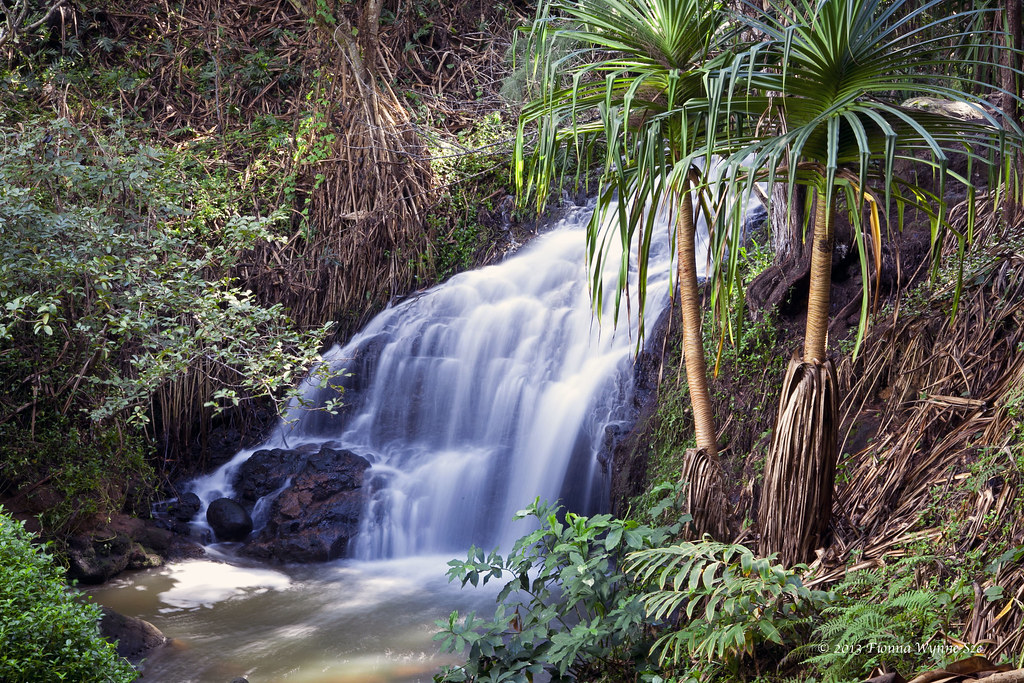 Hawaii Near Queen's Bath Hike to Queen's Bath, Princevil… Flickr