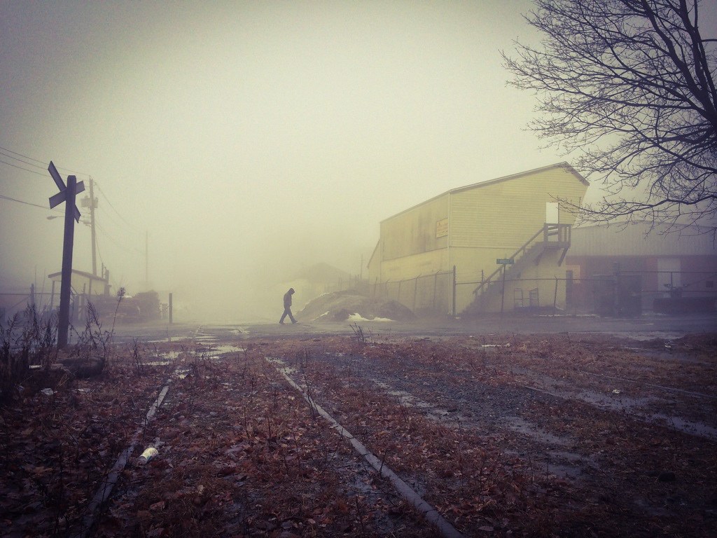 Down on the old Erie Piermont Branch Looking east on the a… Flickr