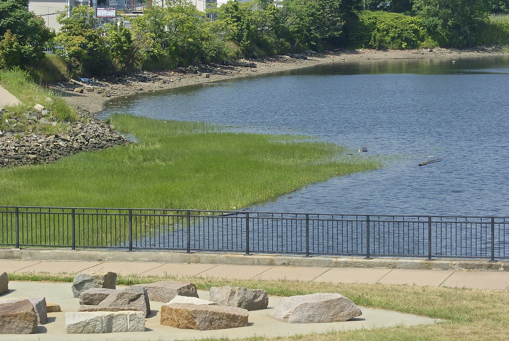 Condor Street Urban Wild Chelsea, Mass. D. Brigham Flickr