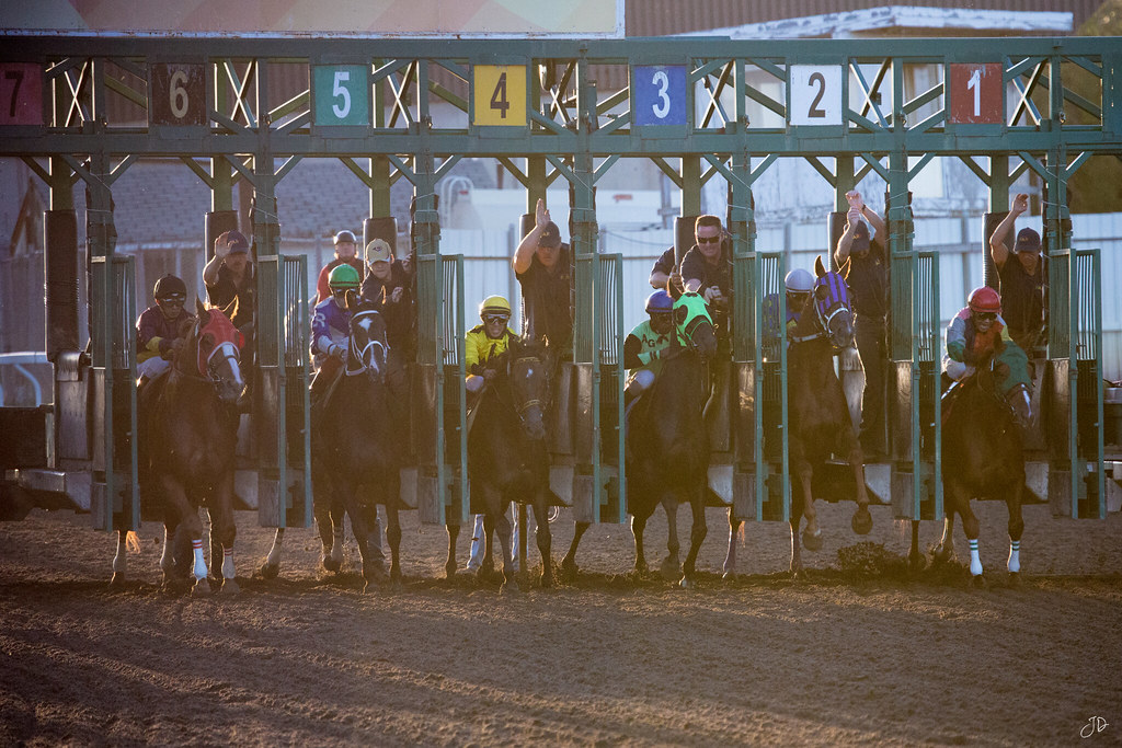 Edmonton Horse Race Track at Richard Busby blog