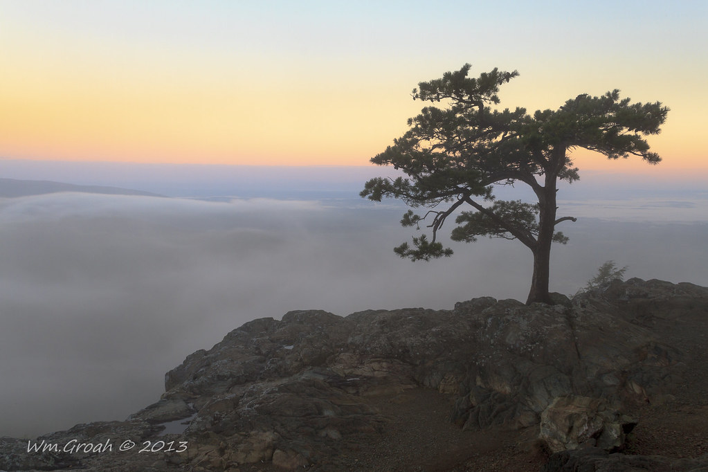 Elevation of 24 Warrior Run, Roseland, VA, USA Topographic Map Altitude Map