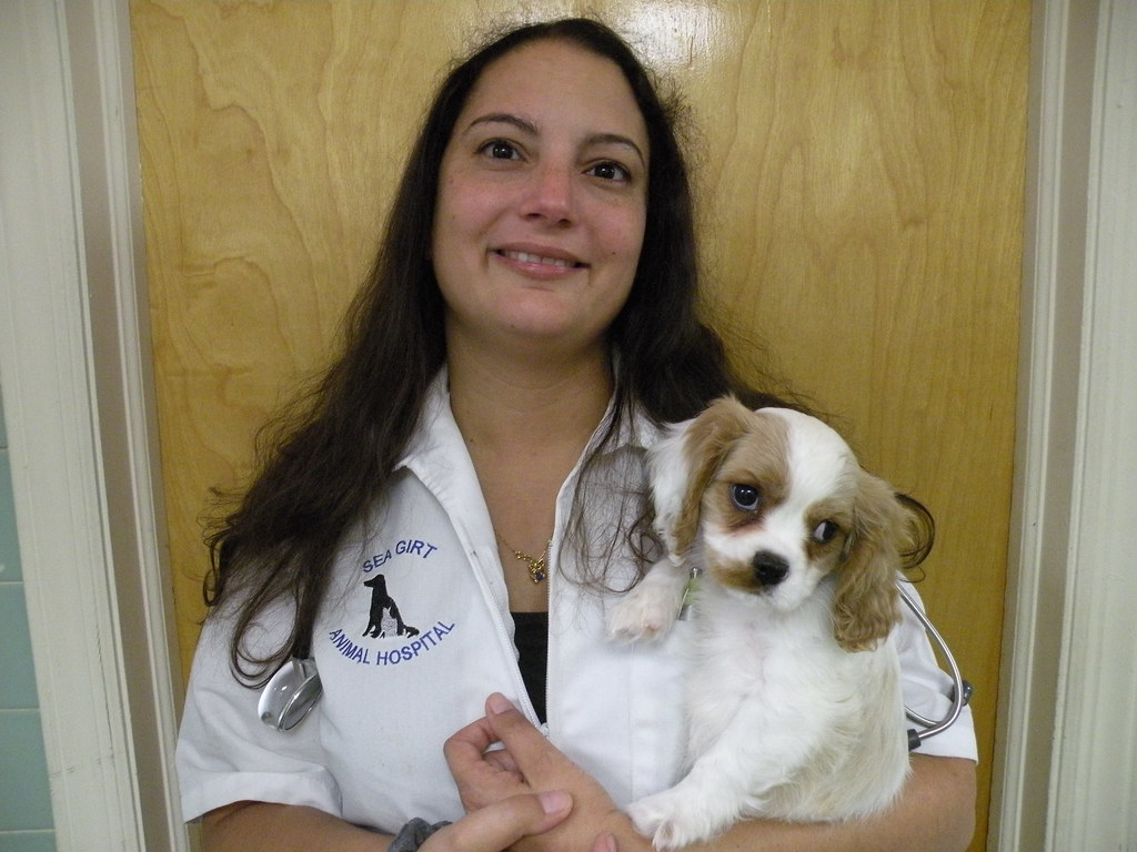 5+ Sea Girt Vet Hospital References