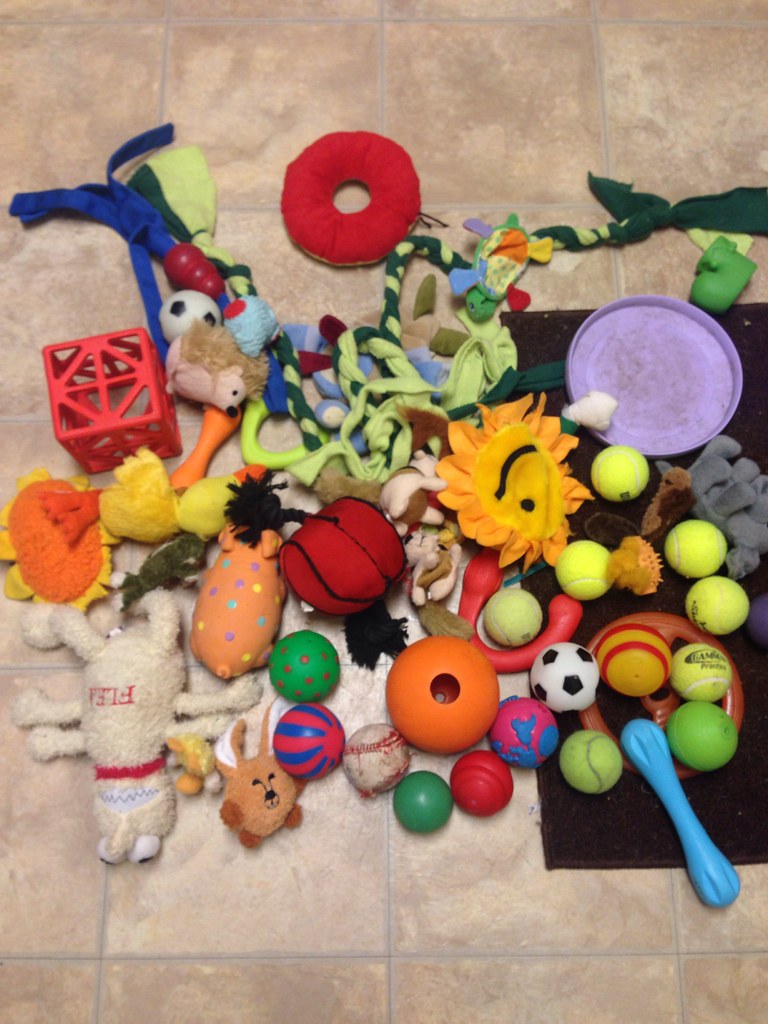 Dog toys jrk1813 Flickr