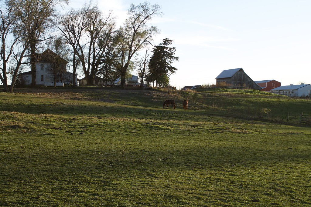 Girard.Farm.020 ashley girard Flickr