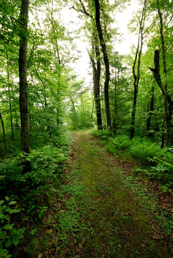 Forest Trail East Fork of the Black River Wisconsin State … Flickr