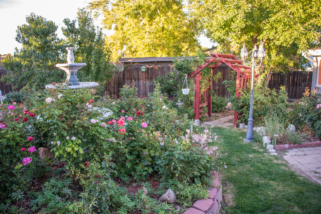 Backyard garden Westminster, Colorado, September 30, 2013 Kent