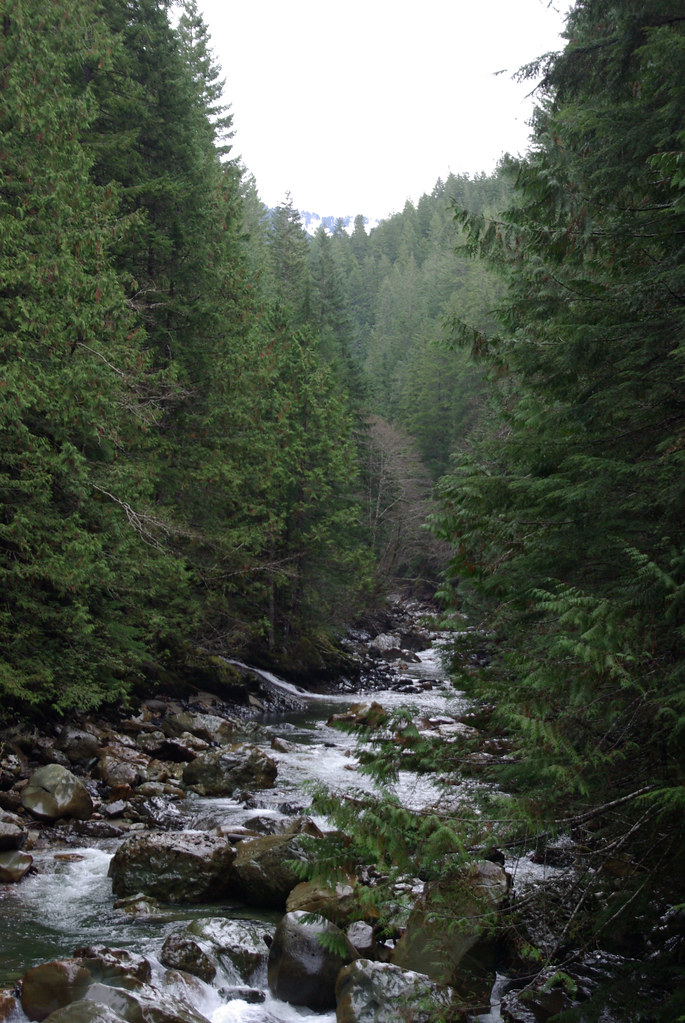 Flow Nooksack River, County, Washington. Just abov… Flickr