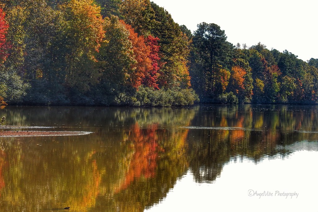 Just starting to get our colors! Lake Lynn in North Caroli… Flickr