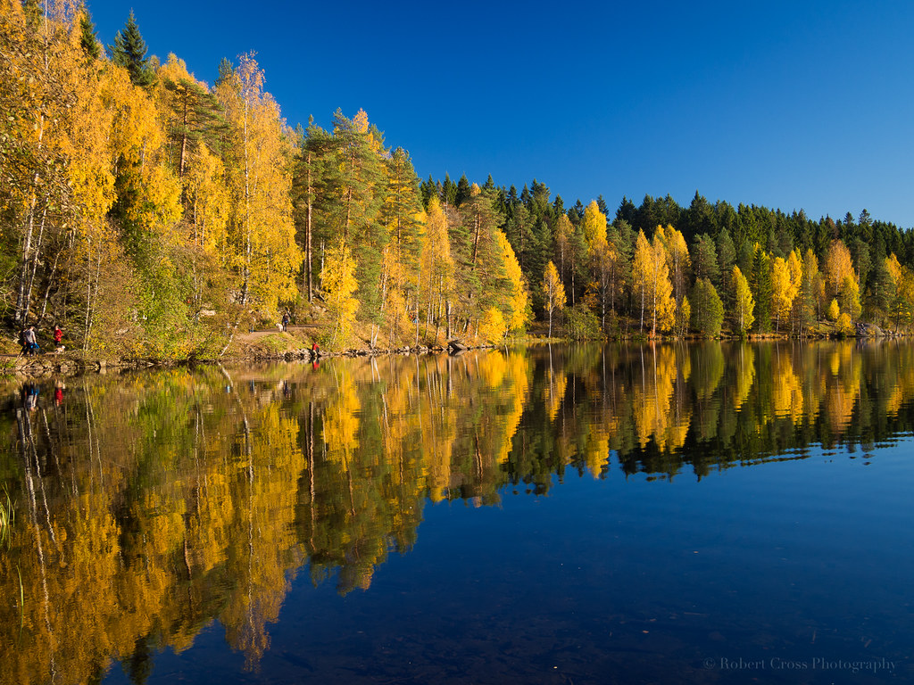 Norwegian Autumn Reflections Autumn leaves at peak color i… Flickr