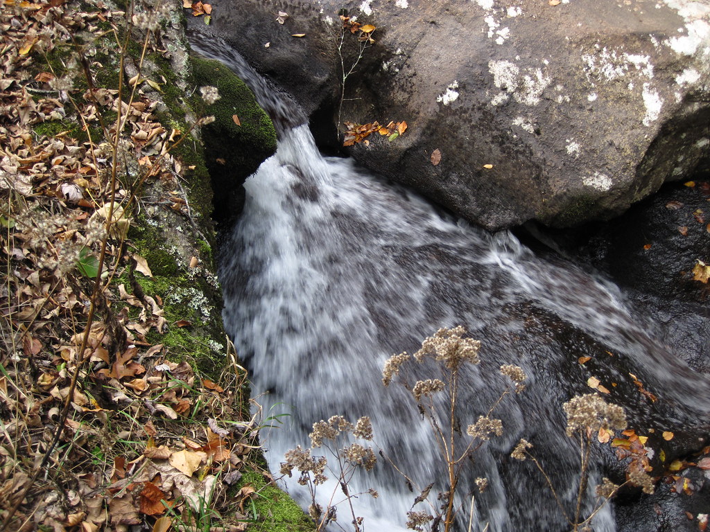 Fox Creek (west of Troutdale, Virginia, USA) 7 (downstream… Flickr