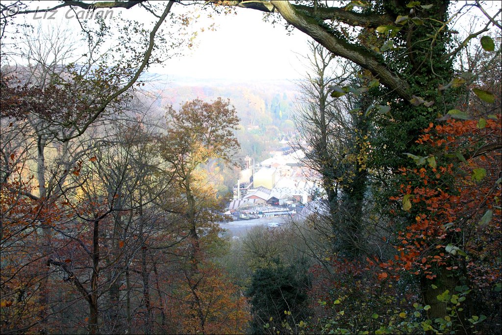 Rotunda Walk Ironbridge with ben 231113 (24) Lincoln Hill … Flickr