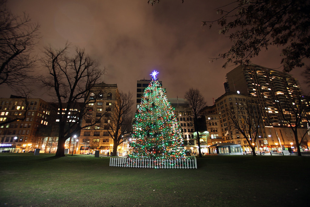 IMG_1229 December 2012 Boston Common Tree Mark Pijanowski Flickr