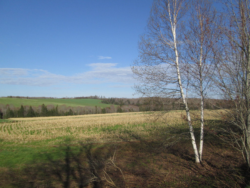 Hunter River Pei at Sammie Hill blog