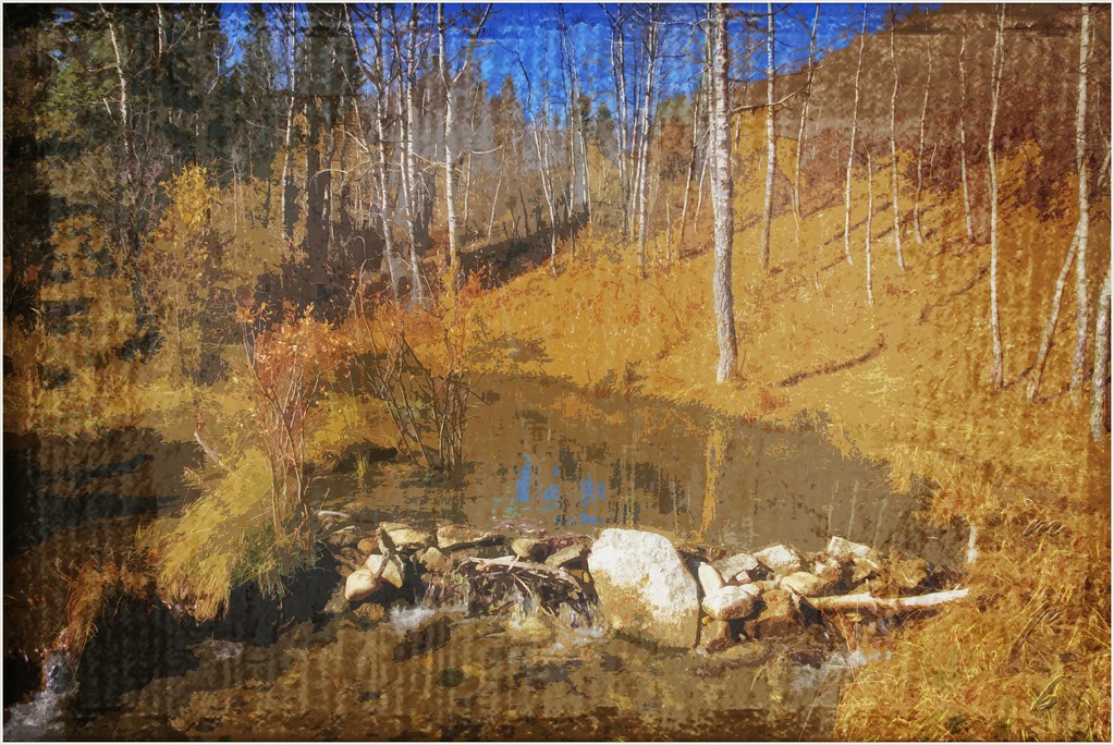 Big Hill Springs, Alberta, Canada. minniemouseaunt Flickr