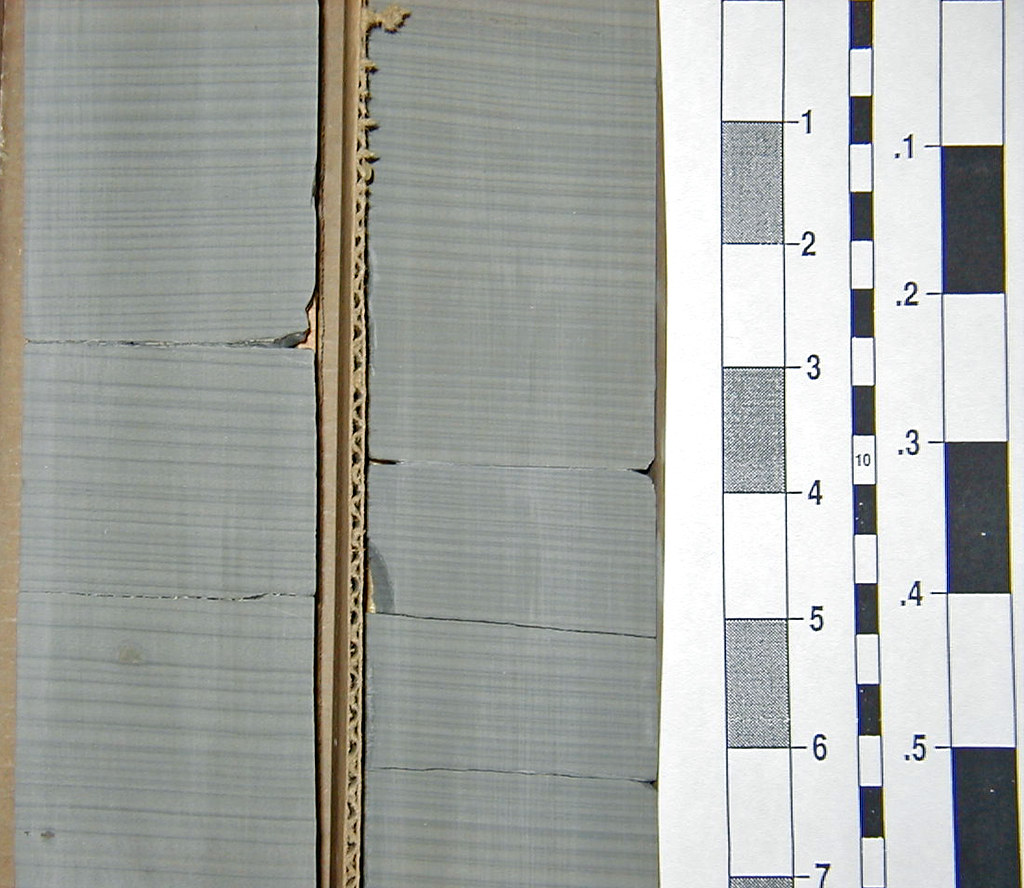 Tidalites (Francis Creek Shale, MIddle Pennsylvanian; Braidwood