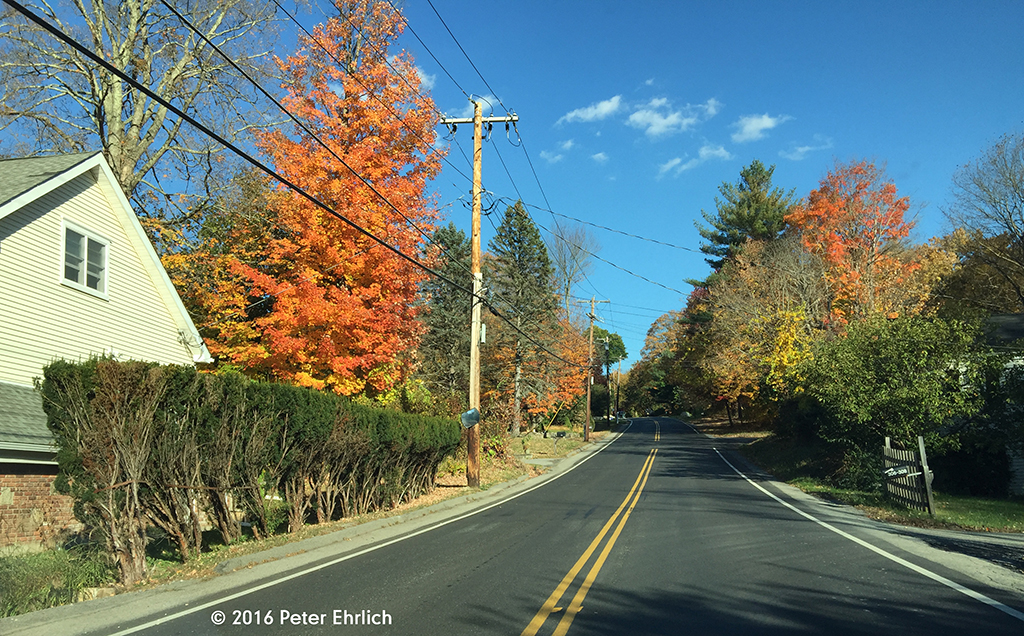BREWSTER, NYBrewster Hill Road Foliage Near my house. Oc… Flickr