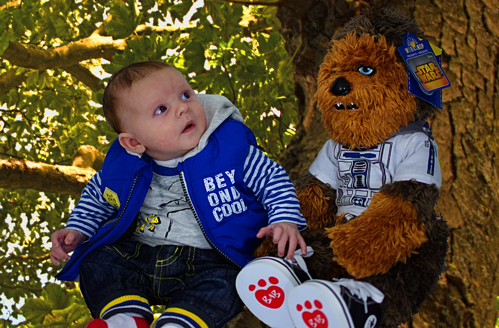 Taylor and Chewy in treehouse Stephen New Flickr