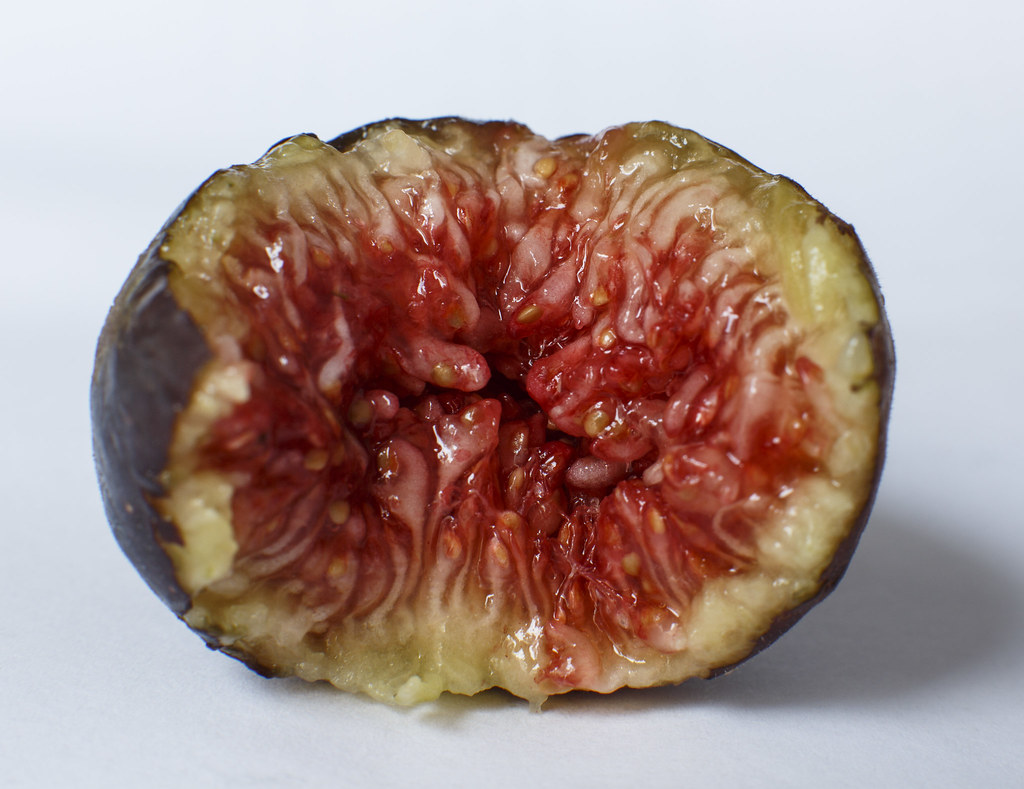 Fig season have a bite Bite of Fig Richard Ricciardi Flickr