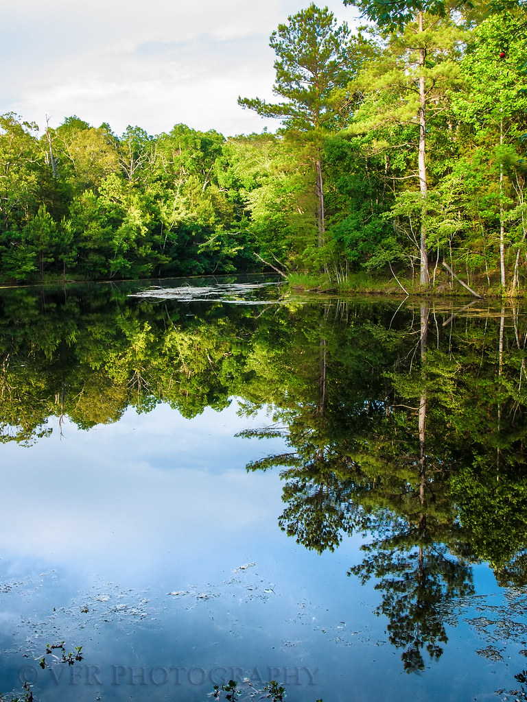 Elevation of Golden Pond, KY, USA Topographic Map Altitude Map