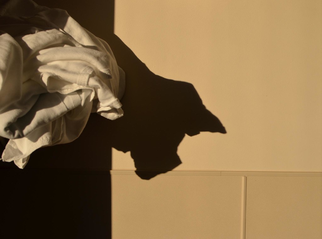 Shadow pig Blanket art. Tom Magliery Flickr