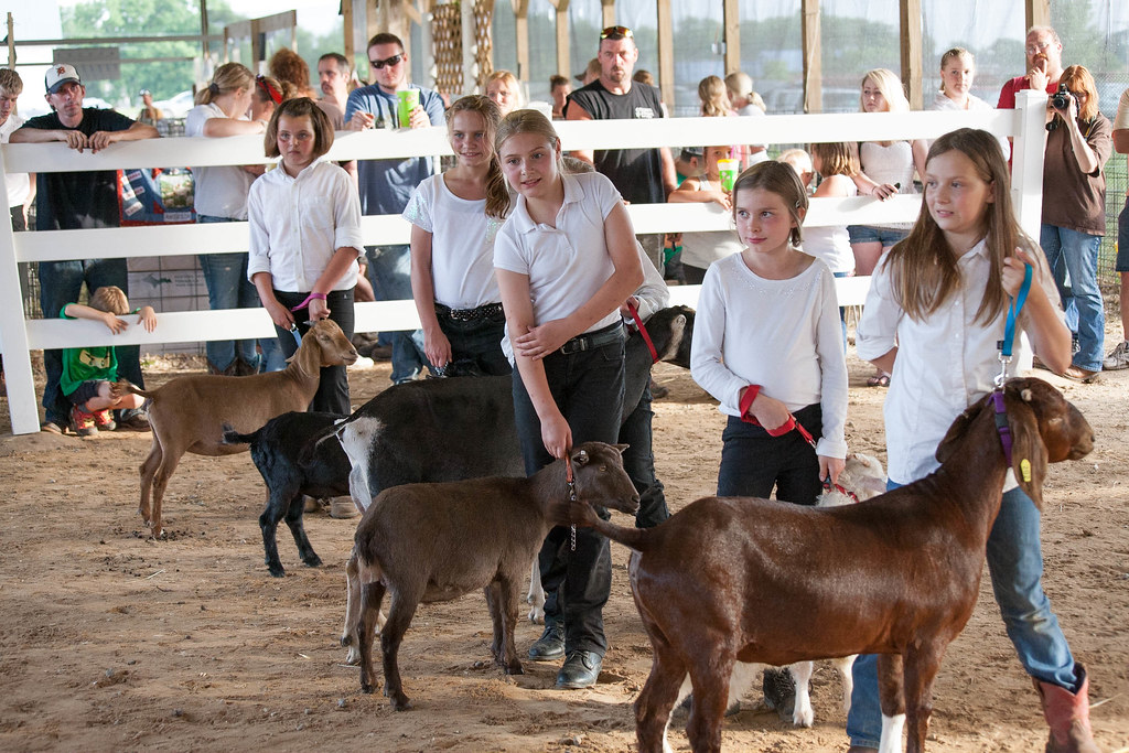 Montcalm County Fair Deborah Hoag Flickr