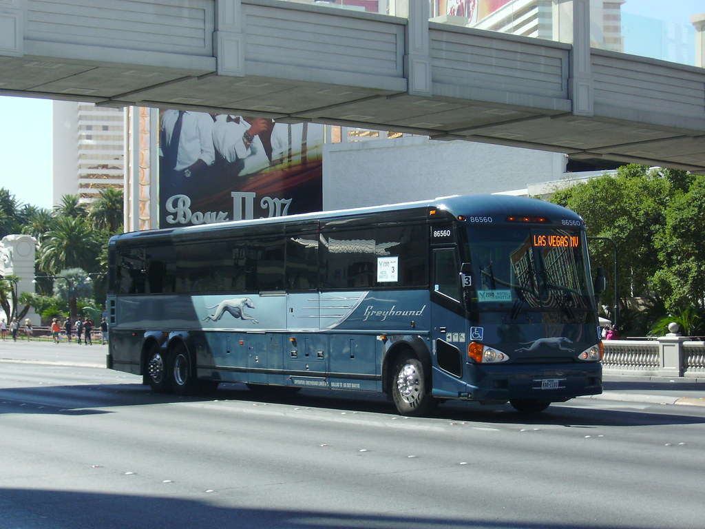 Greyhound in Las Vegas Vivitar GS E Flickr