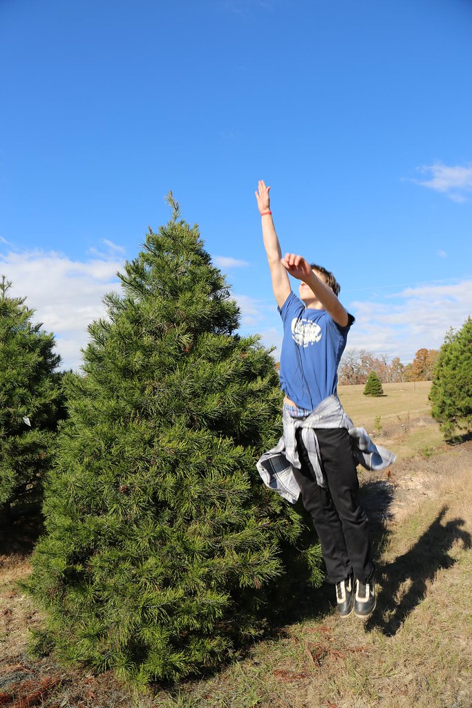 IMGL6245 Trail Creek Farm a place to get a Christmas Tree… Flickr