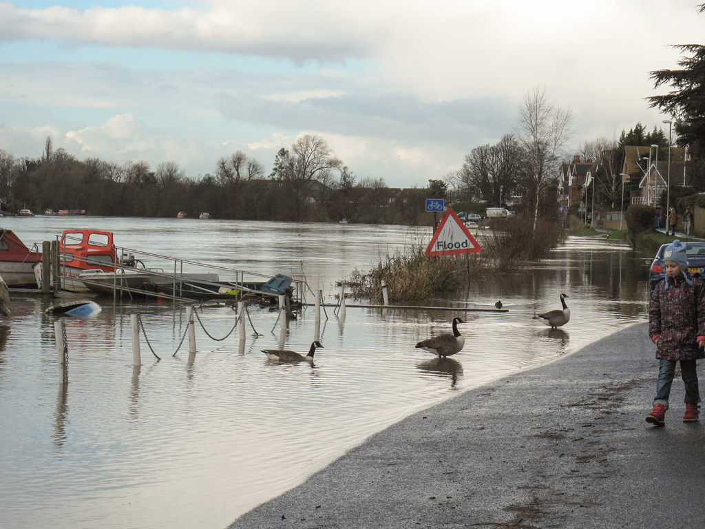 Flooding on Lower Ham Road, KingstonuponThames, 10 Febru… Flickr
