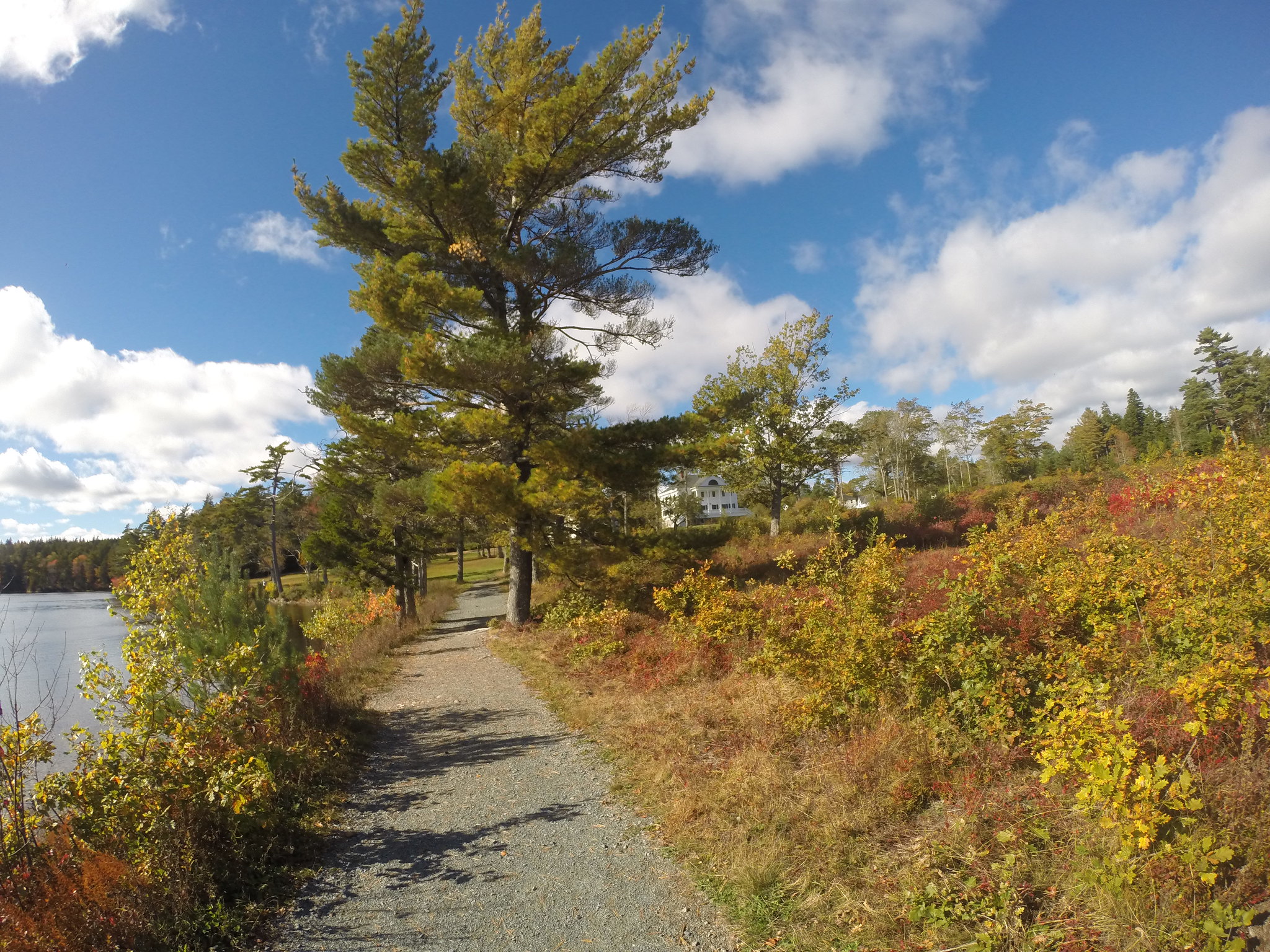 Photos Uniacke Estate Museum Park in Mount Uniacke, Nova Scotia