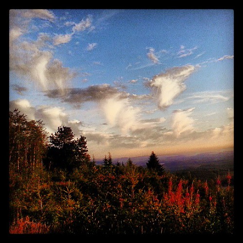 Elevation of Ardnt Rd, Cinebar, WA, USA Topographic Map Altitude Map