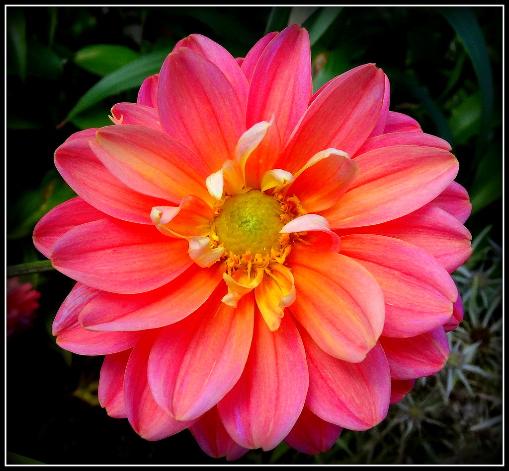 Old Westbury Gardens Natural Wonder Dmitriy Fomenko Flickr