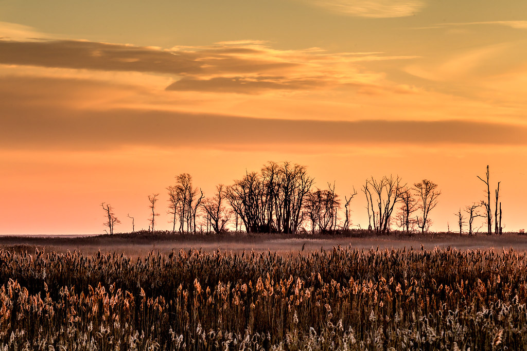 Elevation of North Old Mill Road & South State Street, N Old Mill Rd
