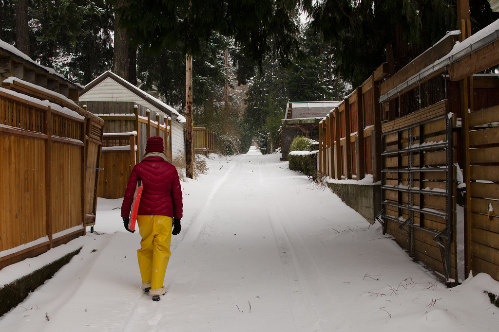 sledding15 Fernhill Park, Portland 2/8/14 Mark Swartz Flickr