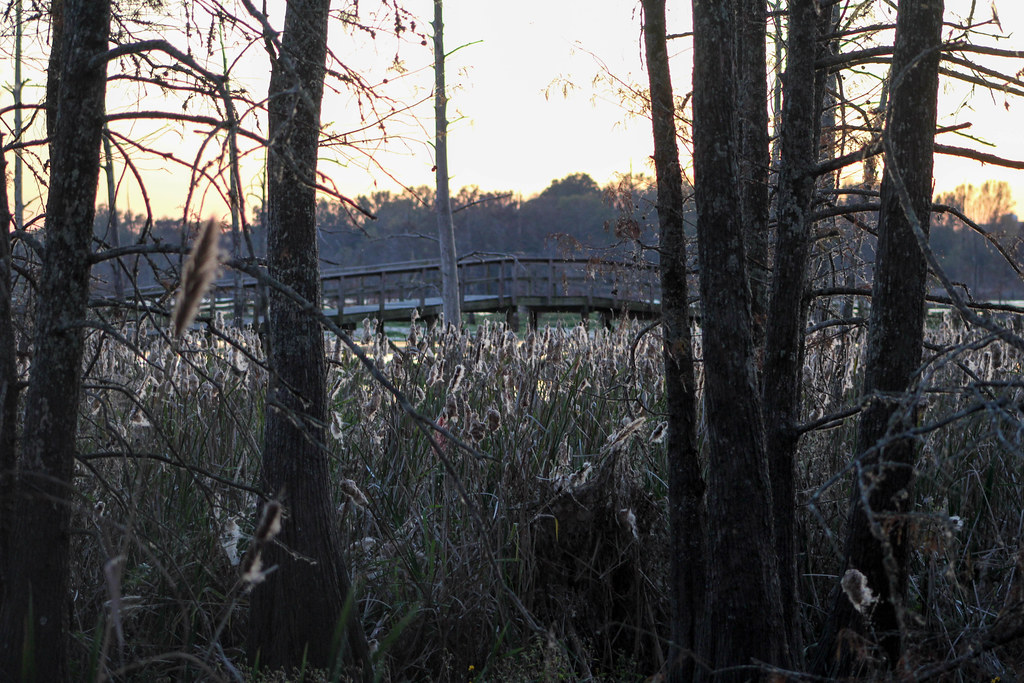 Elevation of Pope St, Monroe, LA, USA Topographic Map Altitude Map