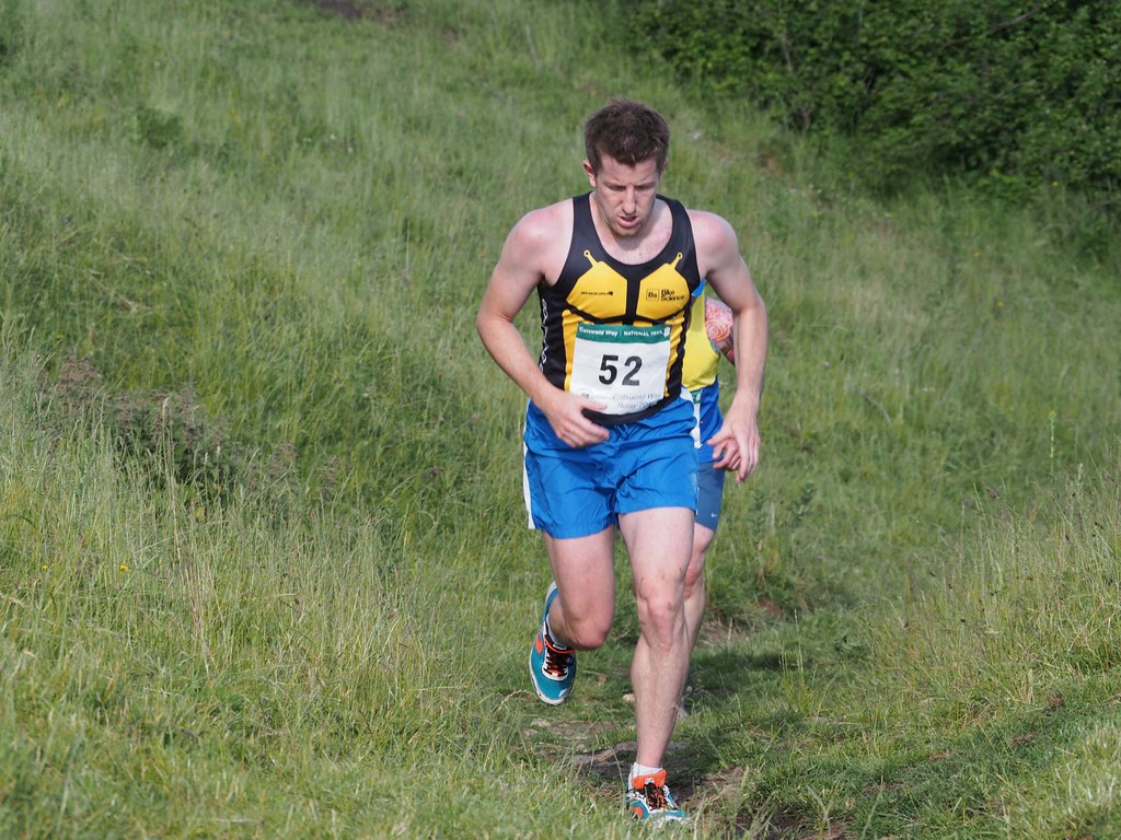 Cotswold Way relay 20130629105 downsrunner Flickr