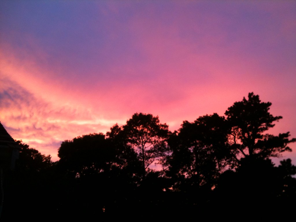 Untitled Jackson Zee Flickr