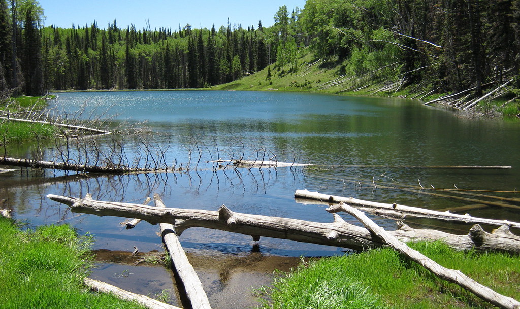 Dougherty Basin Lake About 9700' on SW end of Boulder Moun… Jeff Goddard Flickr