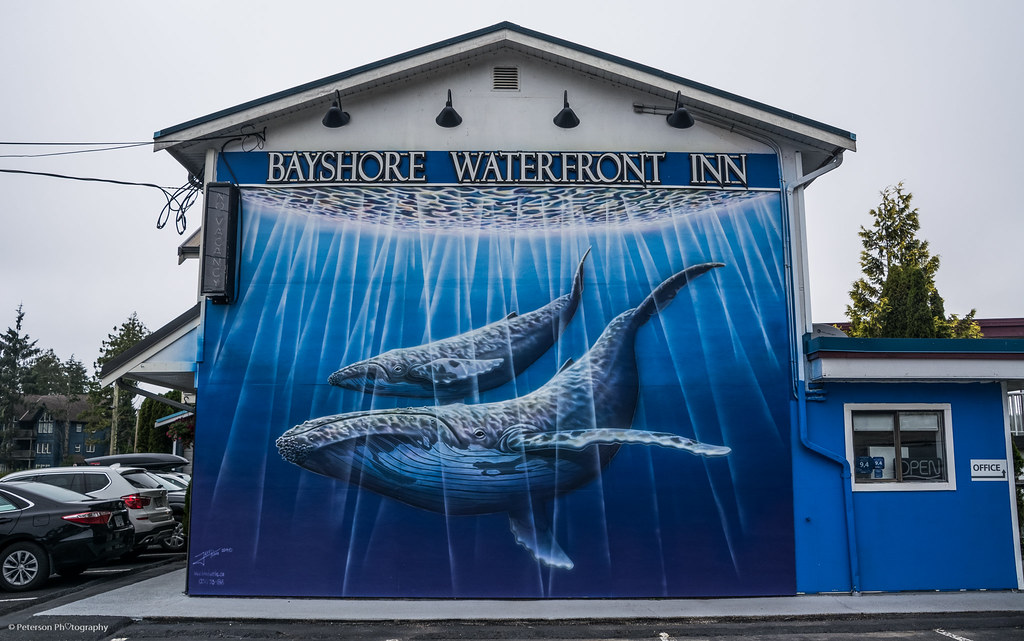 Grey Whales Mural at Bayshore Waterfront Inn Ucluelet, Van… Flickr